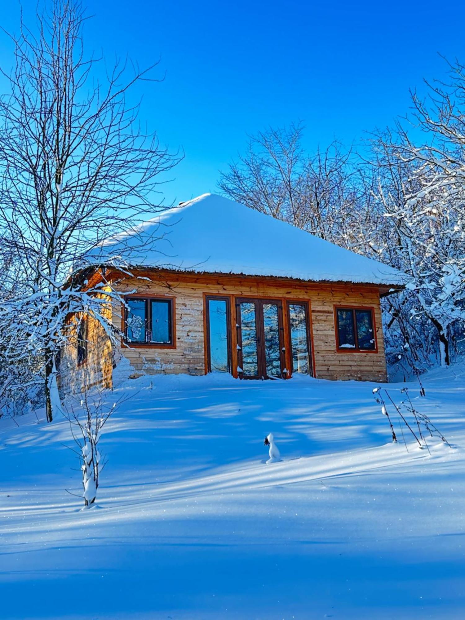 Козацька Фортеця Pliskachevka Экстерьер фото